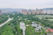 事业概念西宁市举办六五环境日主题宣传活动
