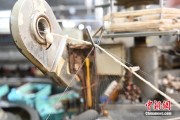 事业概念小蚕虫变身“产业龙”，广西这座小城如何实现“破茧重生”？