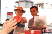 事业概念（乡村行·看振兴）江西安福“小西瓜”撬动乡村共富“大支点”