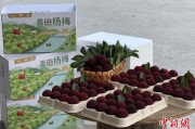 事业概念高速赋能产业升级：一条“杨梅路”的致富密码