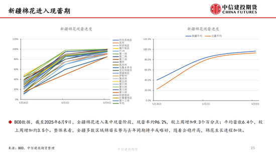 【棉花纺谈】供应端阶段性缩量 疆棉基差(🚹)坚挺